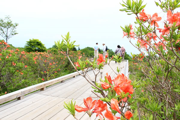 八方ヶ原　大間々台